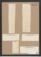 Diatomeae indet. Zeichnungen Sammlung Grunow Nr. 1466 (NHMW-BOT-W0368474)